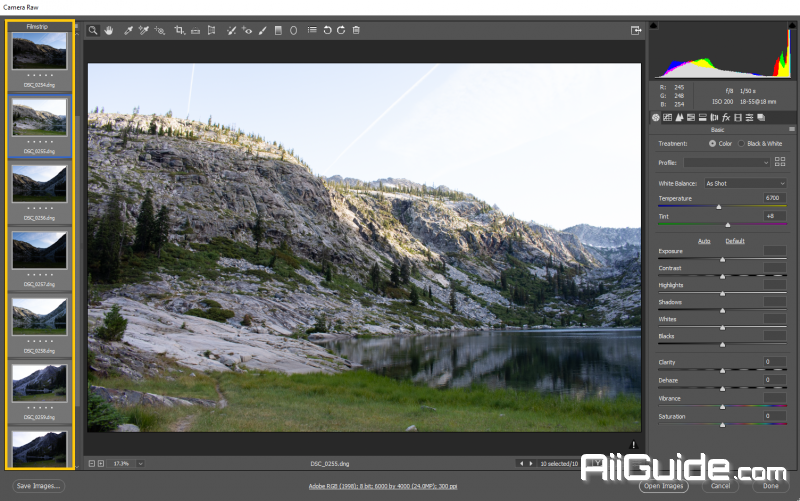 adobe photoshop camera raw plug in download