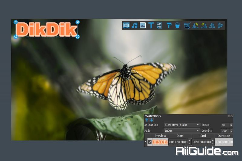 DIKDIK Video Kit_0