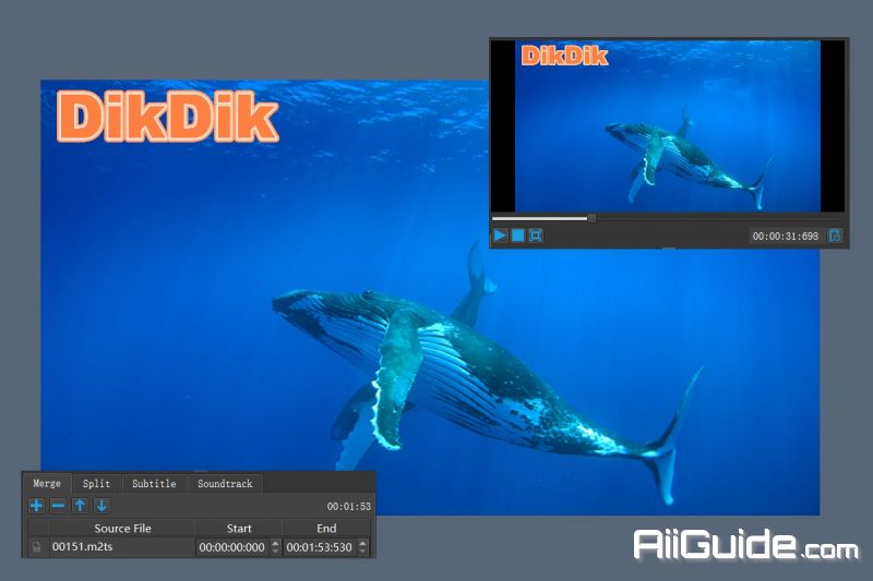 DIKDIK Video Kit_1