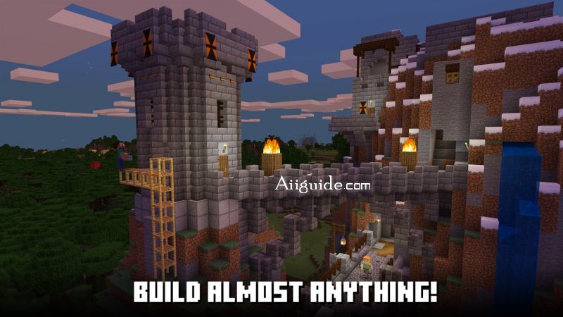 Minecraft_1