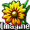 Imagine 1.1.4 Image & Animation Viewer for Windows
